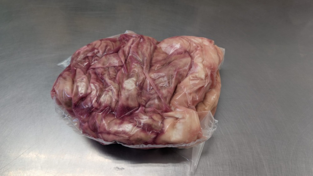 牛ギアラ(あかせん)　国産　1パック