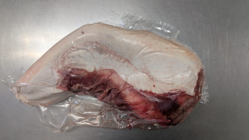 国産　皮付き　白　牛タン　(ホルス・交雑・経産)　1本