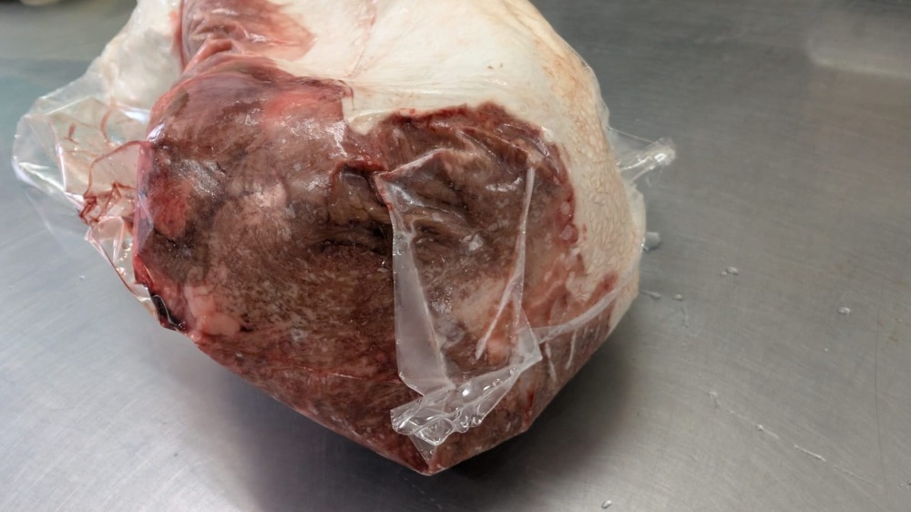 国産　皮付き　白　牛タン　(ホルス・交雑・経産)　1本