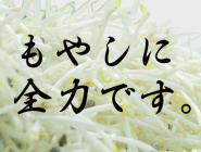 �X�܎ʐ^�E���S