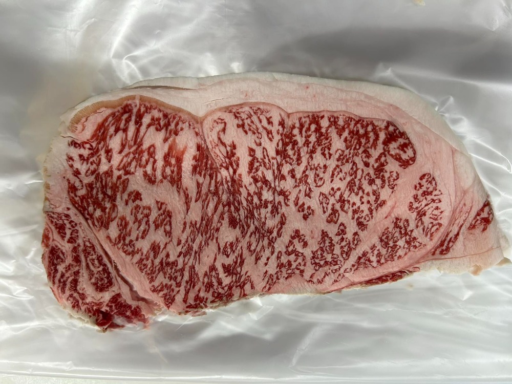 �y�������݁zA5��B�Y���јa���X���C�X2.5mm�i�T�[���C���j