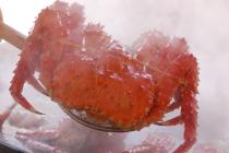 �X�܎ʐ^�E���S