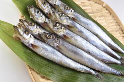 卵持ち カラフトししゃも170gパック