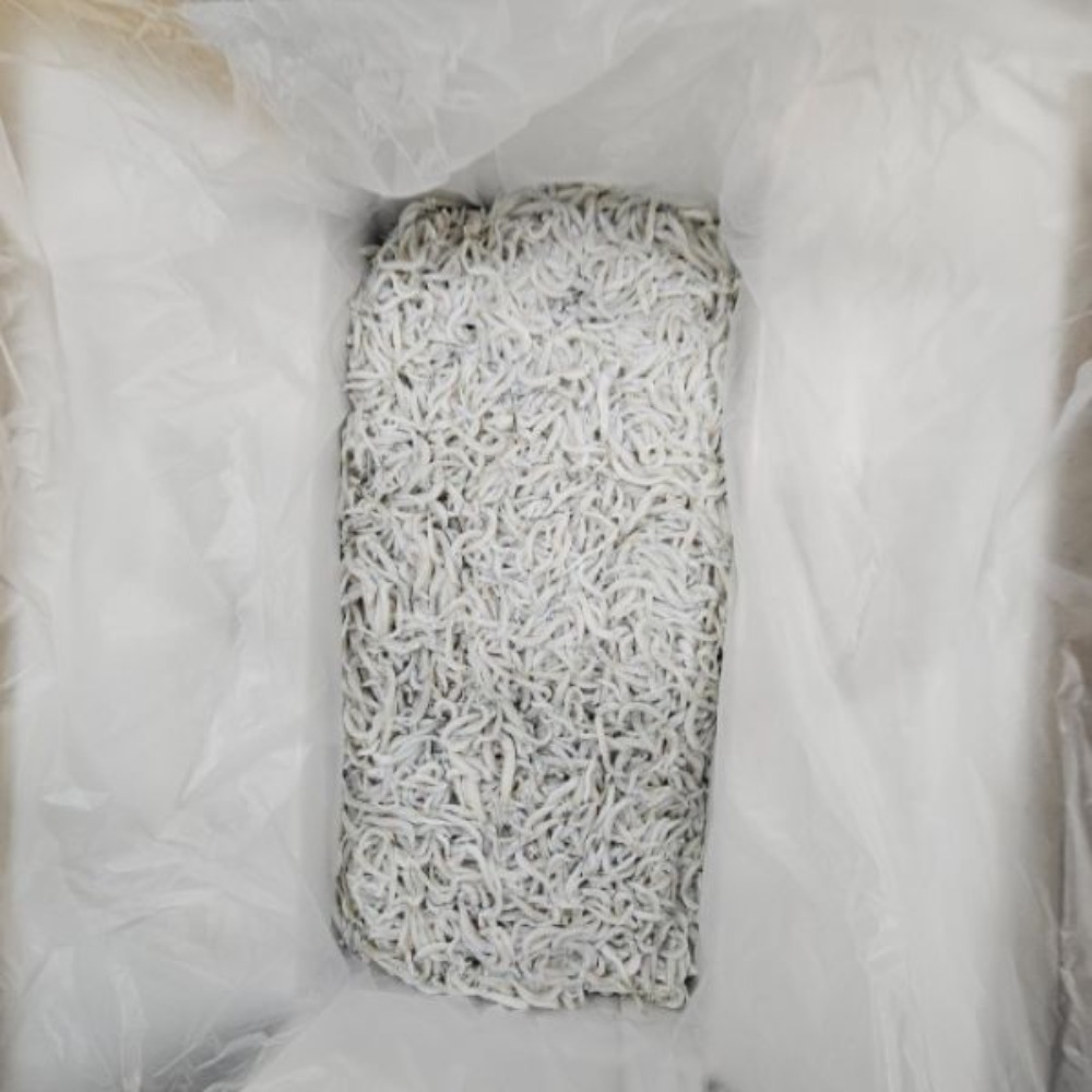 【愛知県産】　釜揚げシラス　12kg