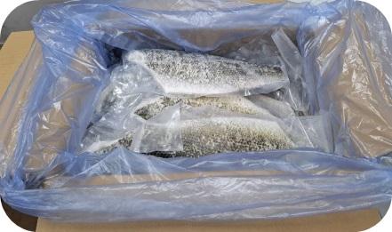 【生食用】活〆スズキフィーレＳＰ（フィレ）　約400g〜500g