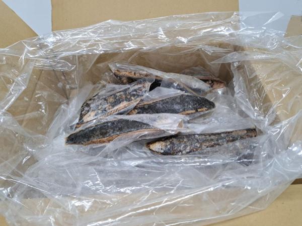 【生食用】わら焼き　生カツオタタキ　（2.0上〜3.0上）