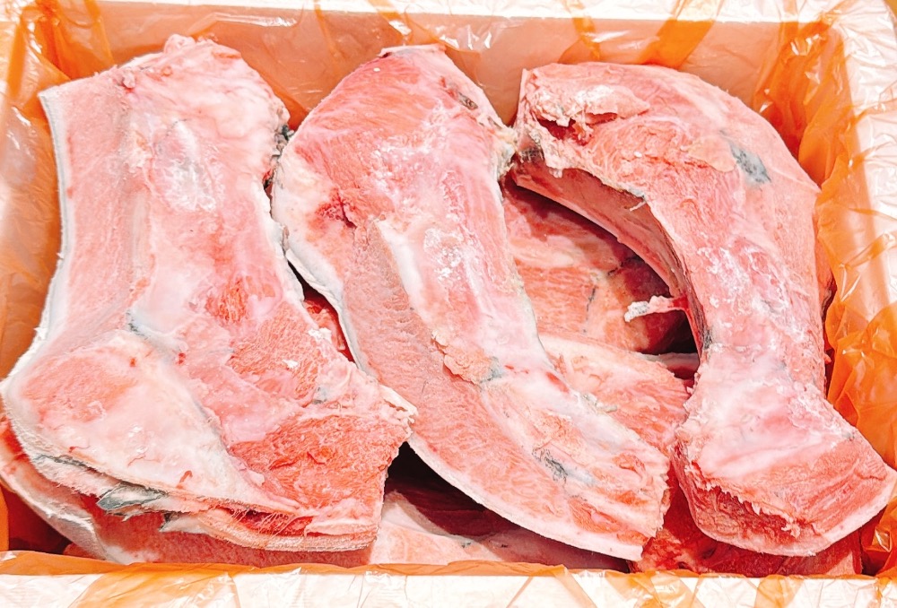 限定　国産本マグロカマトロ　　9.1k