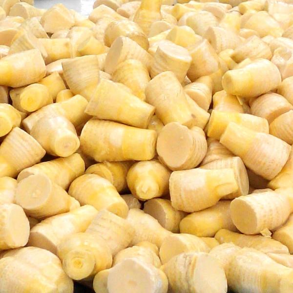 �ycs�P��12kg�z�Ⓚ�@�ō����~⡕�t�z�[���y�����E���������z