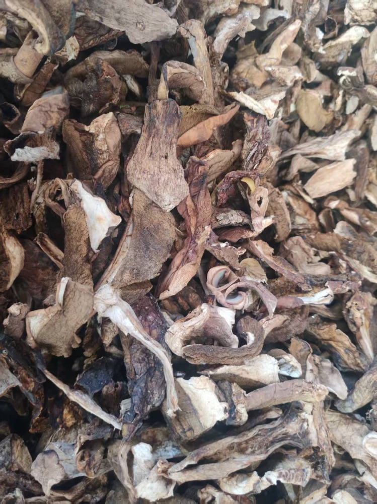 乾燥ポルチーニ　【3kg】中国産　イタリアン　フレンチ