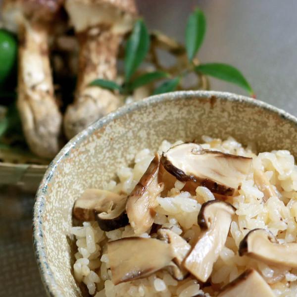 生冷凍松茸　ミニチップ(0.5x1cm)　2kg　バラ凍結【香り保証】