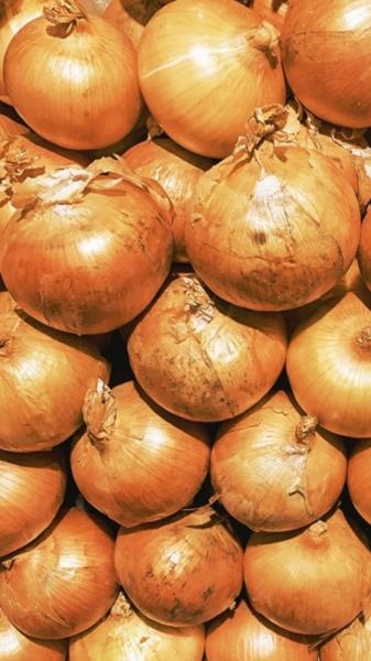 国産　玉葱ペースト(加熱済み)【素材100％】【無添加・無加糖】