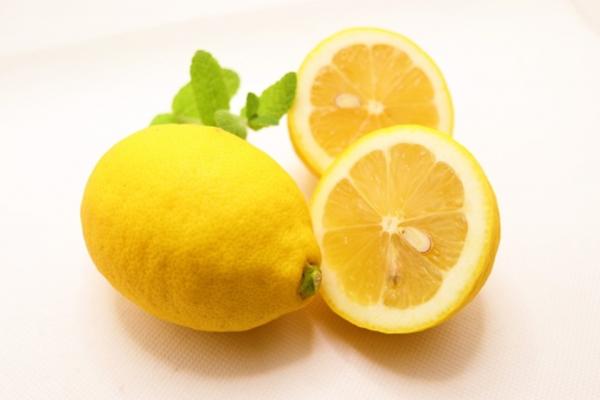 国産　レモンペースト　500g