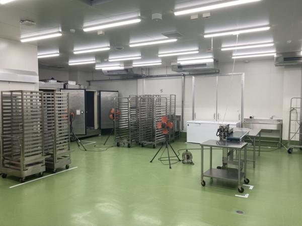 国産　玉葱ペースト(加熱済み)【素材100％】【無添加・無加糖】