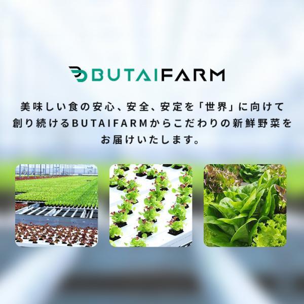 【送料別】国産　千切りキャベツ　1kgx2袋　カット野菜