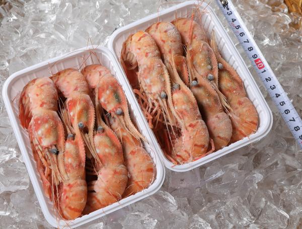 <定番人気＞ロシア産ボタン海老　BL【500g11-13尾】