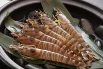 �X�܎ʐ^�E���S