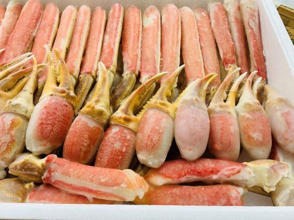 �y�����ʁz�Ⓚ�J�b�g���Y���C�K�j�@����@3kg���ϔ�