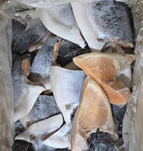 �y�����ʁz����@����J�}�i������)