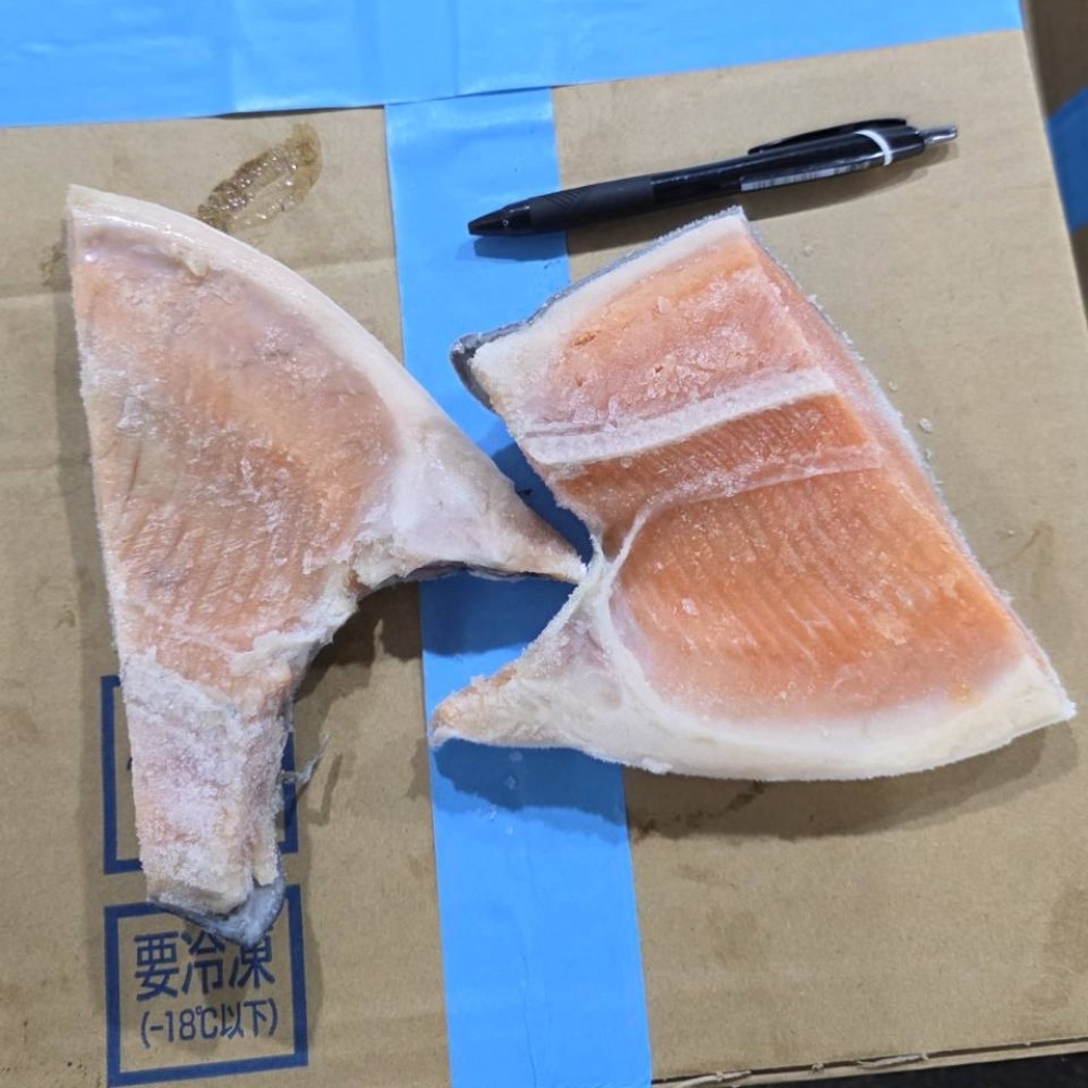 銀鮭　特大カマ（尾無し)