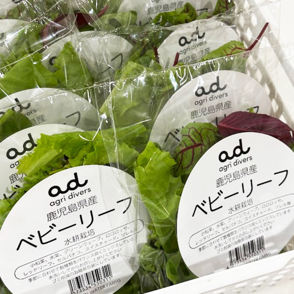 【水耕栽培】鹿児島県産　ベビーリーフ　25gx30P　ミックス野菜