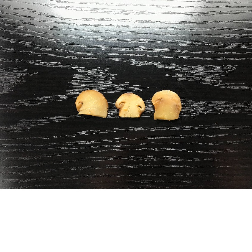 【賞味切迫】冷凍松茸冊カット2-3cm　500gx20pc