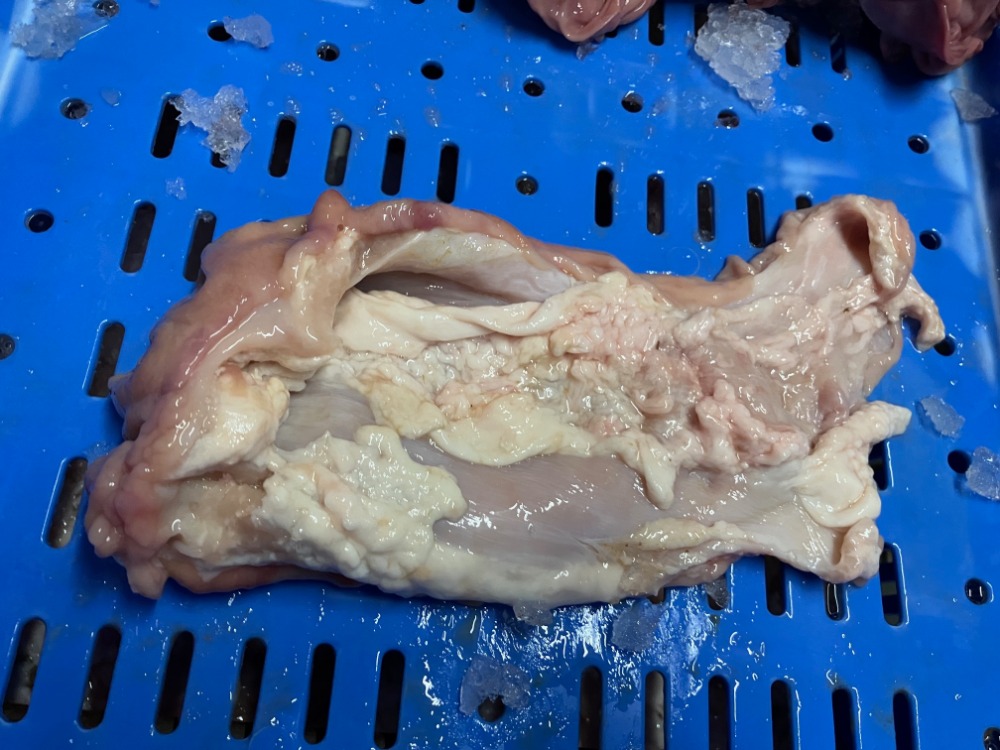 【国産】牛上ギャラ(赤千枚)生冷凍　5kg　代引不可