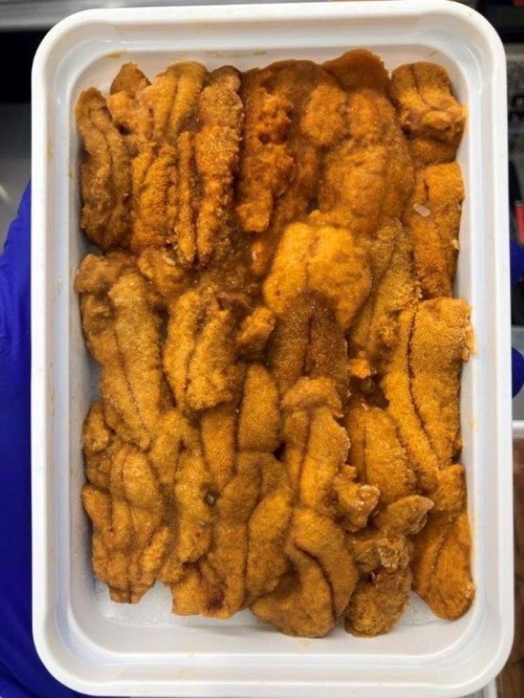 チリ産冷凍ウニ（ブランチ・ミョウバン無し）