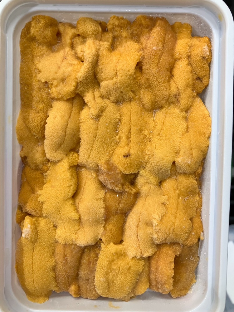 ブランチウニAA　特上うに