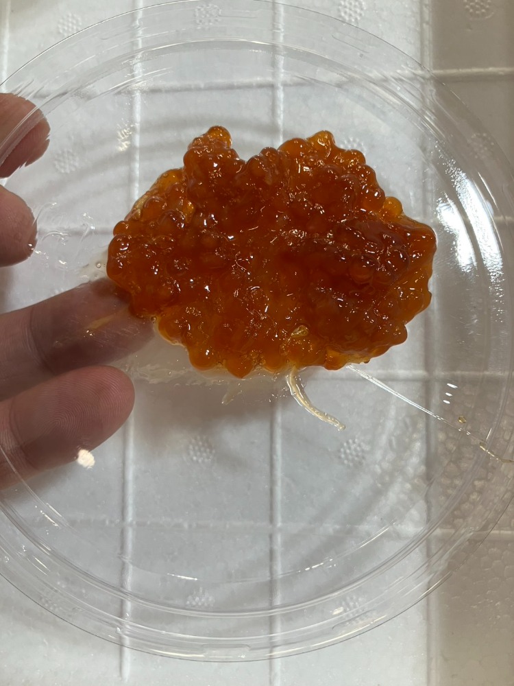 紅鮭すじこ醤油漬け