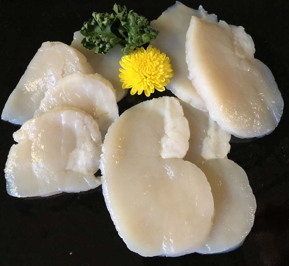 たいらぎ貝　6/8粒　500gx2P（1558）