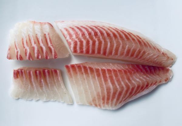 生食用　冷凍いずみ鯛フィーレ　150-200g/枚　正箱単位10kg