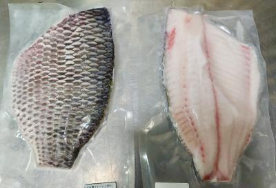 加熱用　冷凍いずみ鯛皮付フィーレ（中骨あり）200-300g/枚　