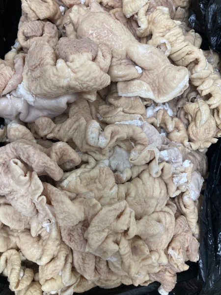 国産　豚大腸ボイル　10kg