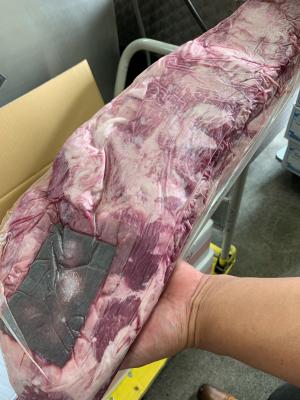 ���o�Y�@�`�S�����N�@���I�q���@��B�X�^�C��