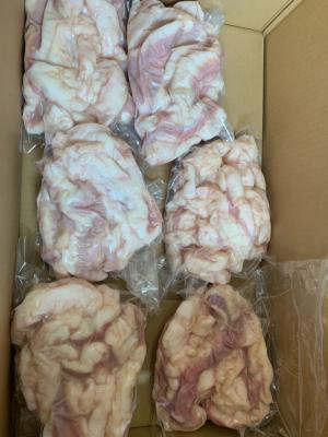 �y�����ʁz�y�󏭁z���ꋍ�̏����i���c�j