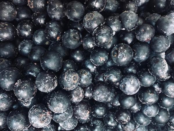 【KIMONO　FRUITS】冷凍ブルーベリー14kg(1000gx14）