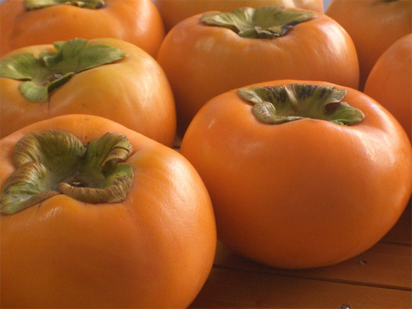 【KIMONO　FRUITS】冷凍富有柿　冷凍柿　　国産　1000ｇ