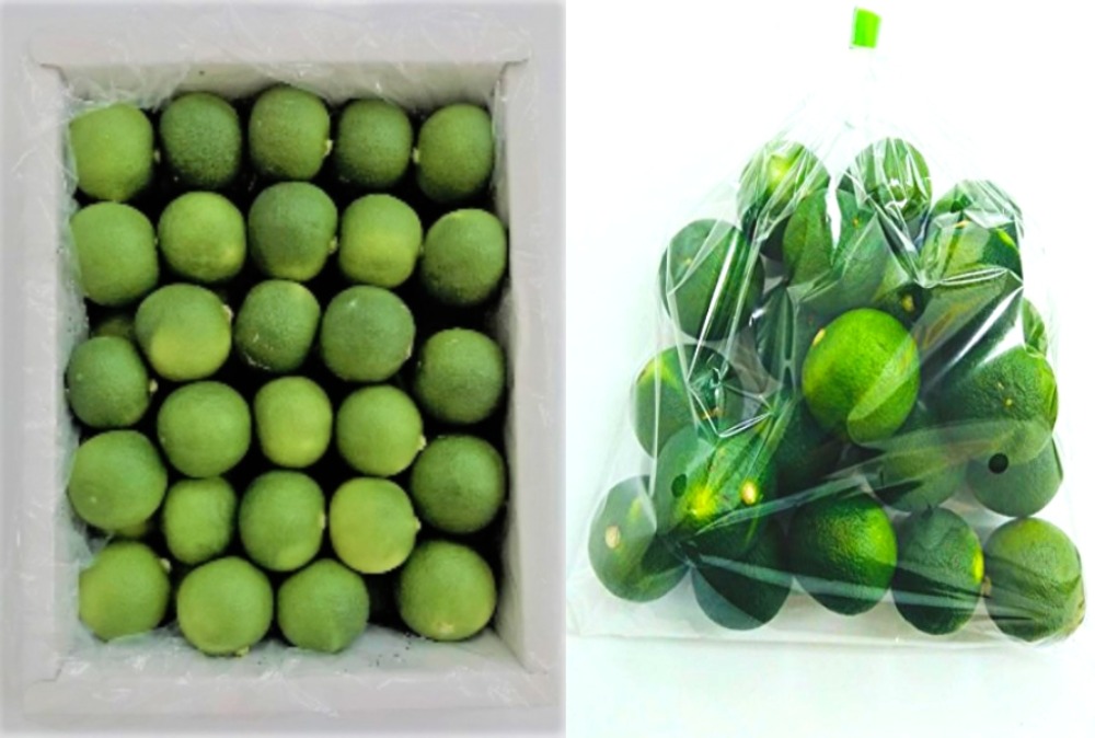 冷凍すだち果汁（徳島産）　1ｋｇ　袋入り　無添加生しぼり　