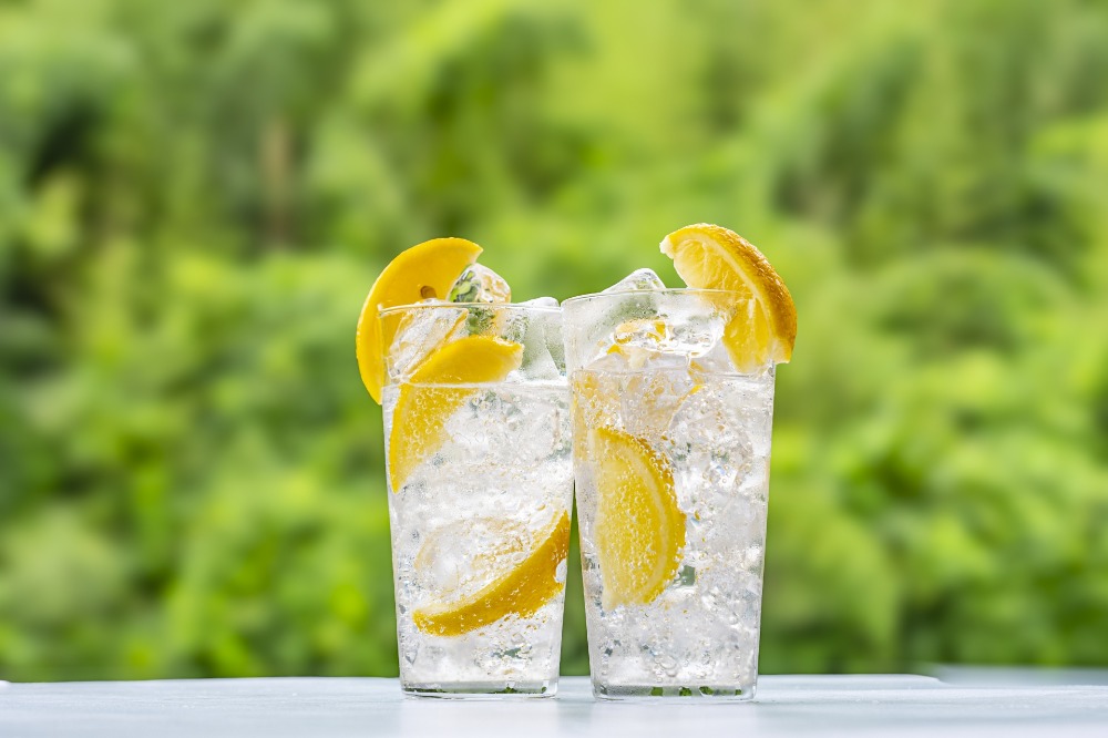 【KIMONO　FRUITS】冷凍レモン　１/6カット　14kg　瀬戸内レモン