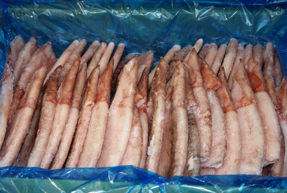 ツボ抜きイカ　国産原料　国内加工　70尾　7.5Kg