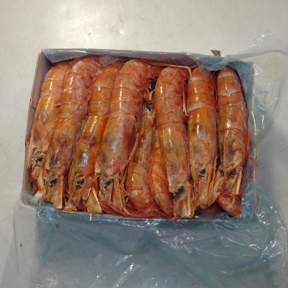 アルゼンチン赤海老　L1　1kg判　ソリメノ　アルゼンチン赤えび