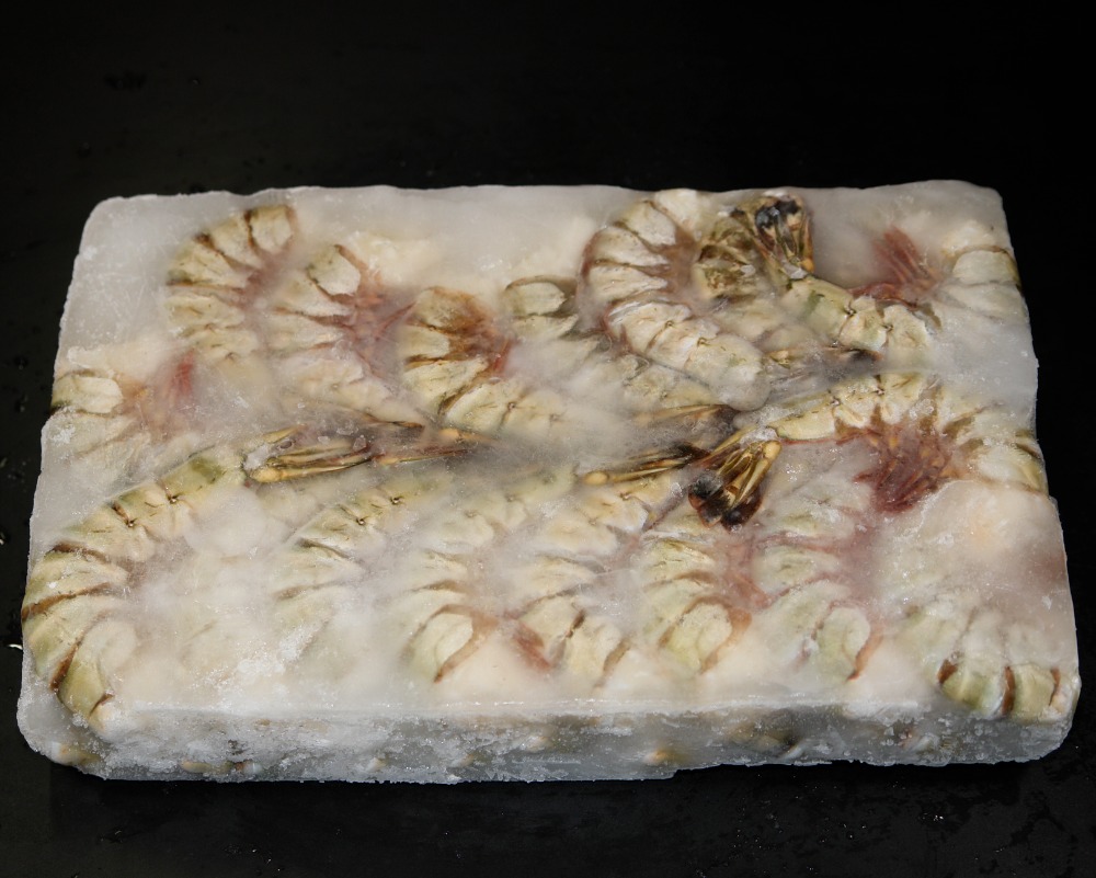 ブラックタイガー　8/12　インドネシア　ゴールデンヒルブランド