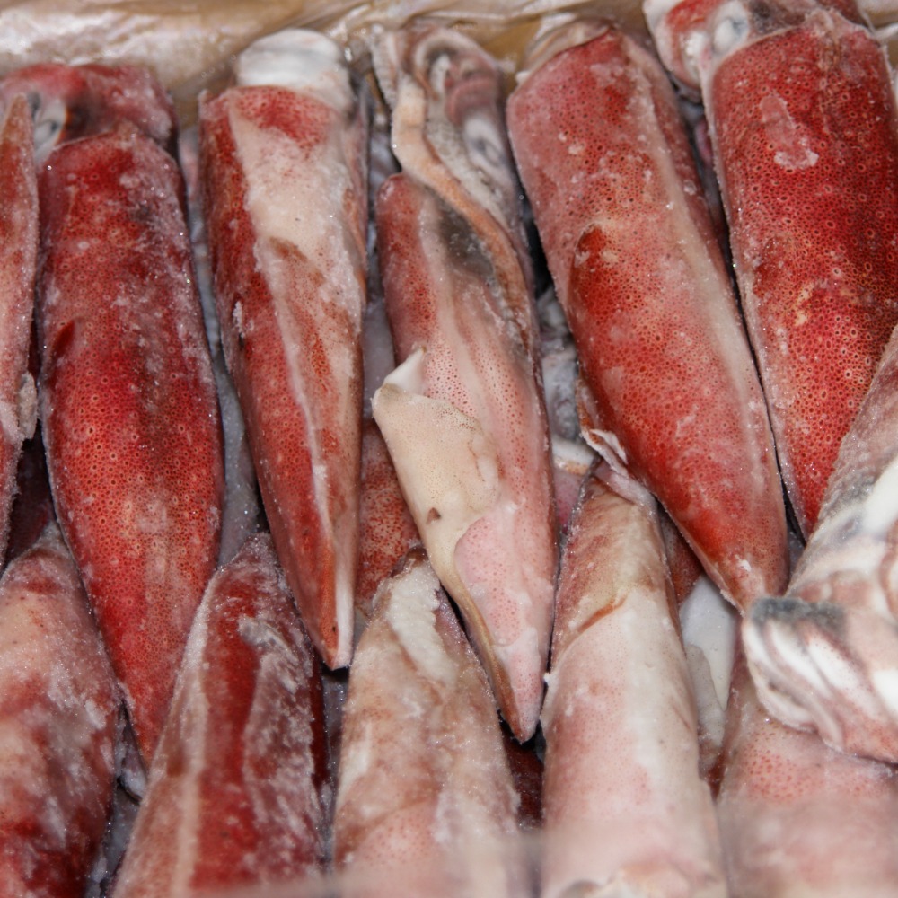 船凍　ヤリイカ　81-90　（福岡産）