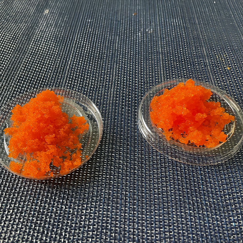 味付けシシャモ卵　（生食用）　500ｇ