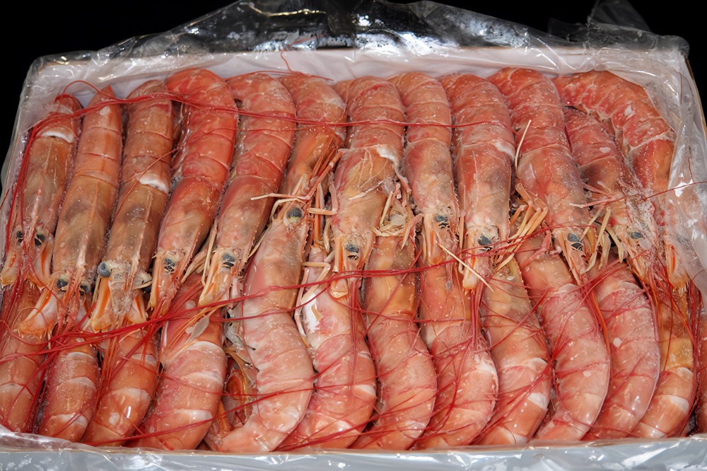 アルゼンチン赤海老　アルゼンチン赤エビ　L2　モスクッサ