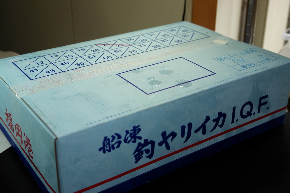 船凍　ヤリイカ　21-25　（福岡産）