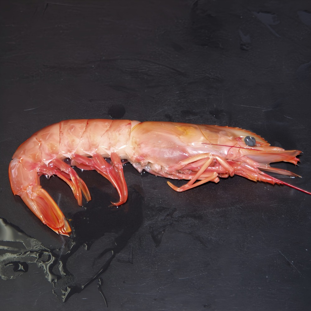 アルゼンチン赤海老　アルゼンチン赤エビ　L1　モスクッサ