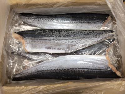 �ԃt�B���^��@800/1000�@10k