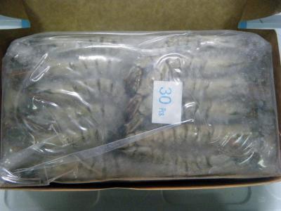 �L���k�tBT�C�V�@1.3kg/40��