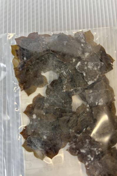 昆布柿のヘタ　100枚入